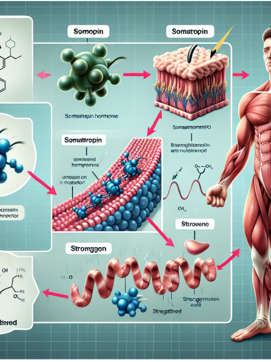 Somatropin and its influence on muscle growth