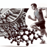 Erythropoietin: the secret to enhancing athletic performance